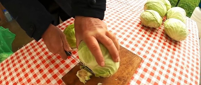 A new way to ferment large quantities of cabbage using a drill