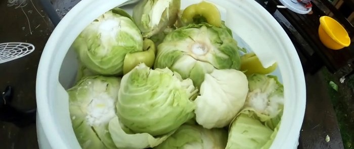 A new way to ferment large quantities of cabbage using a drill