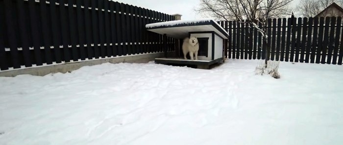 How to make a warm dog house with Wi-Fi control