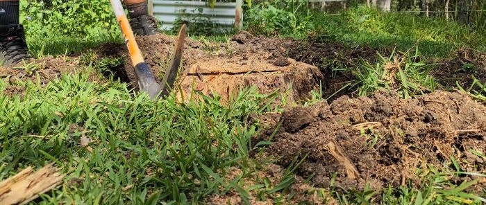 How to remove a tree stump using wooden wedges