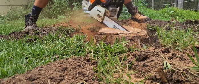 How to remove a tree stump using wooden wedges