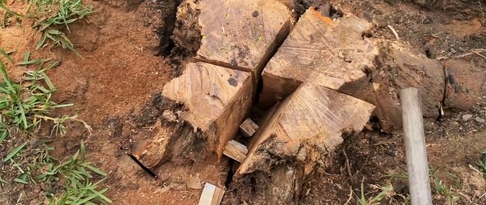 How to remove a tree stump using wooden wedges