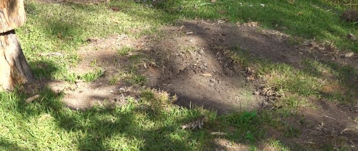 How to remove a tree stump using wooden wedges