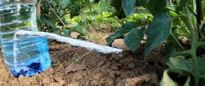 Drip irrigation system from PET bottles - will save water and increase yield