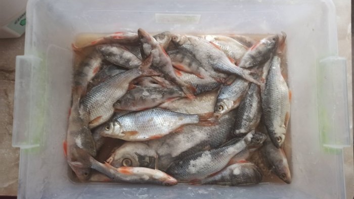 A simple way to salt and dry fish in an electric dryer