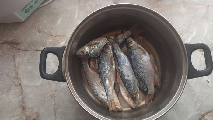 A simple way to salt and dry fish in an electric dryer