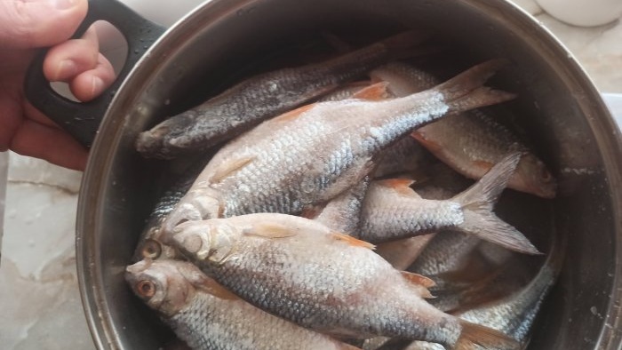 A simple way to salt and dry fish in an electric dryer