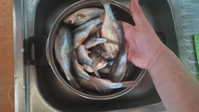 A simple way to salt and dry fish in an electric dryer