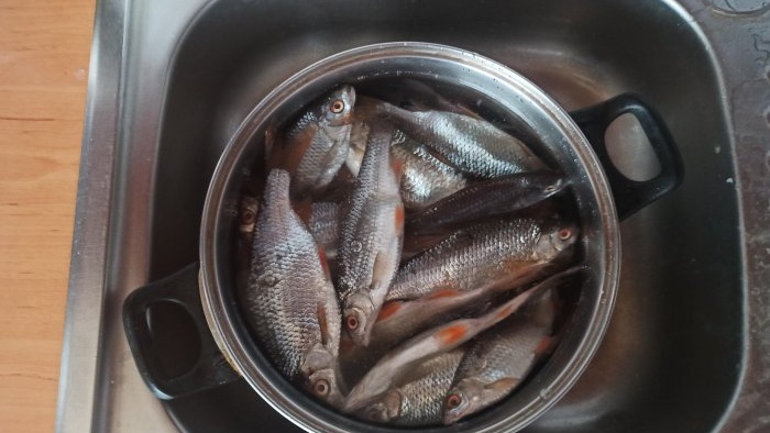 A simple way to salt and dry fish in an electric dryer