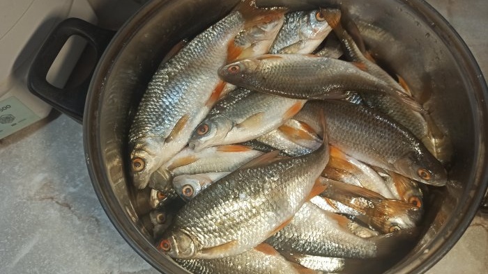 A simple way to salt and dry fish in an electric dryer