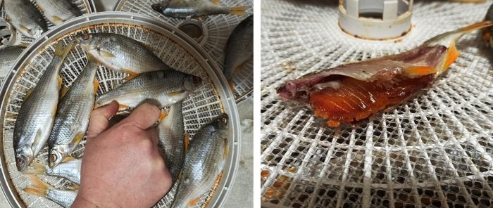 A simple way to salt and dry fish in an electric dryer