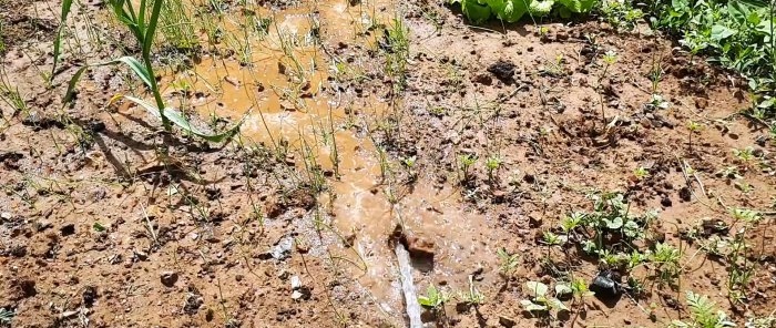 How to make a garden sprinkler from a PET bottle