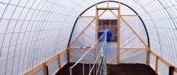 Cheap large greenhouse with your own hands from available materials