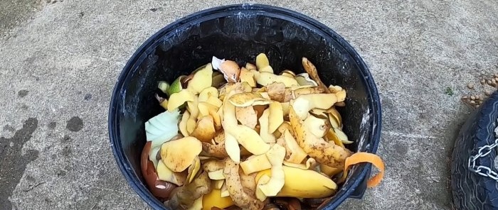 Why do experienced gardeners bury kitchen waste in the garden?