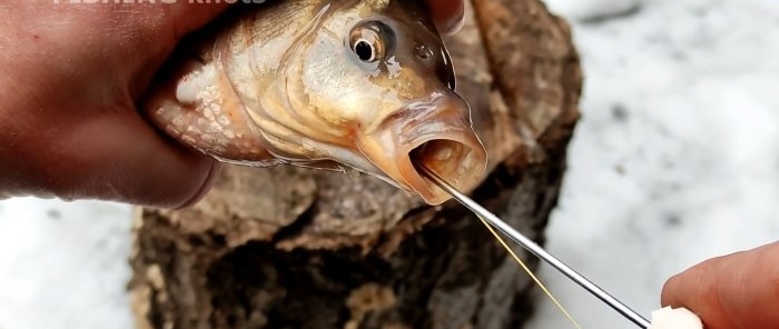 How to make a fish hook remover