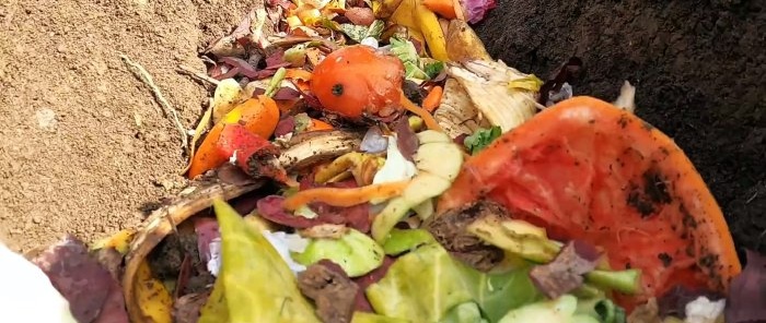 Why do experienced gardeners bury kitchen waste in the garden?