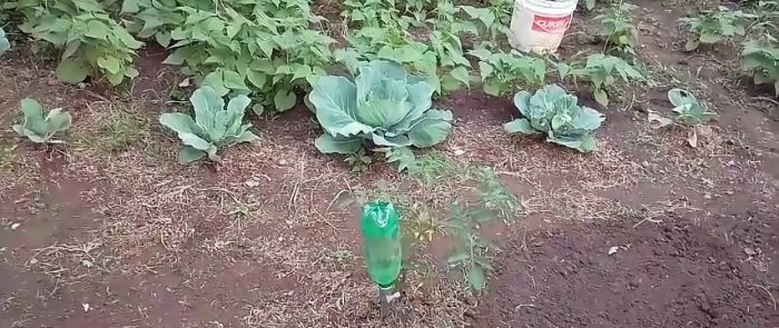 How to make a simple system for watering indoor or garden plants using PET bottles