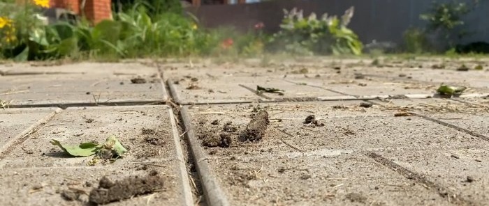 How to quickly get rid of grass at the joints of slabs on paths