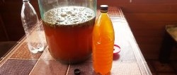 The most popular recipe for homemade kvass made from black bread