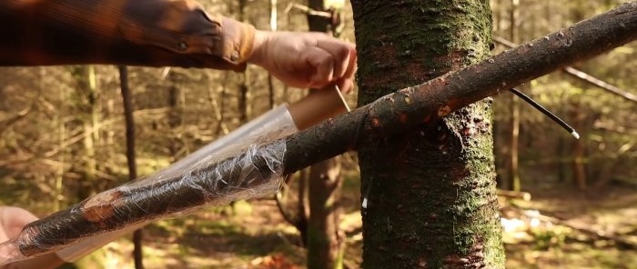 How to make a hut from plastic film to protect from bad weather in summer and severe frost in winter