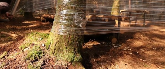 How to make a hut from plastic film to protect from bad weather in summer and severe frost in winter