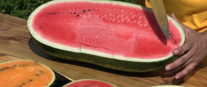 How to accurately choose a ripe sugar watermelon