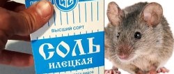 How to get rid of mice once and for all.Safe product for people and animals