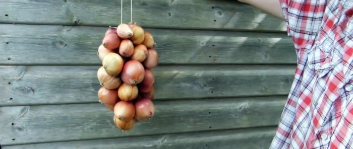 How to properly prepare onions for maximum long-term storage