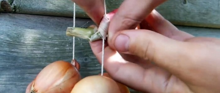 How to properly prepare onions for maximum long-term storage