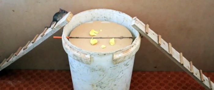 How to make a mouse trap from a plastic bucket