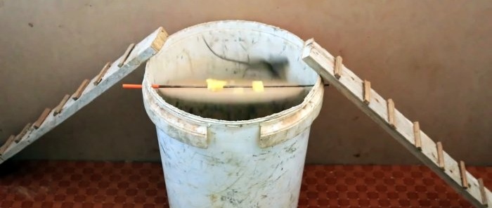 How to make a mouse trap from a plastic bucket