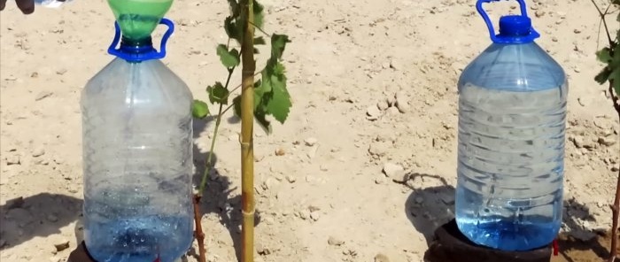 How to make a drip irrigation system from PET bottles