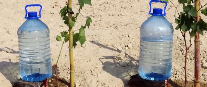 How to make a drip irrigation system from PET bottles