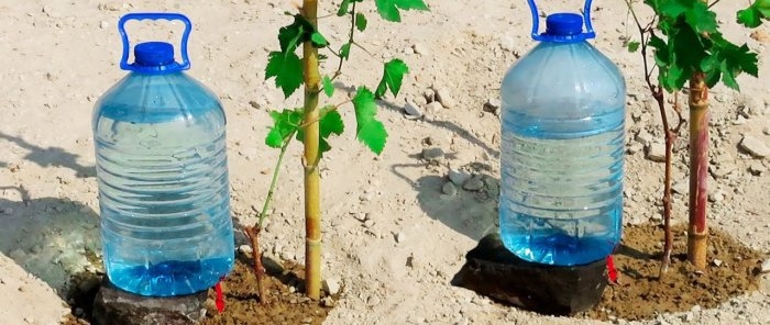 How to make a drip irrigation system from PET bottles