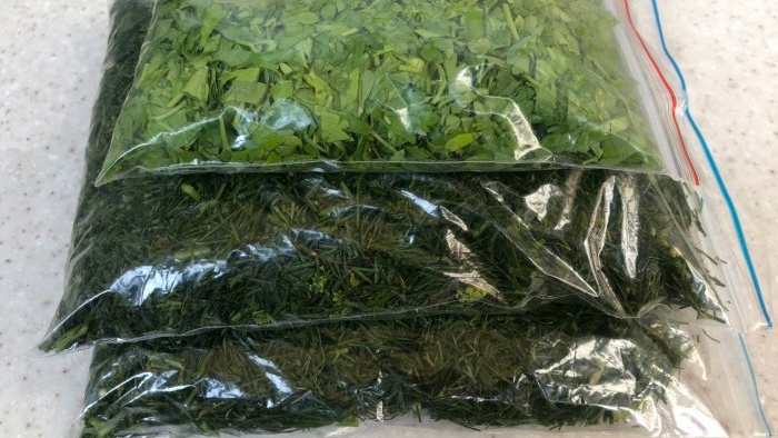 How to freeze dill, parsley and other greens - basic rules