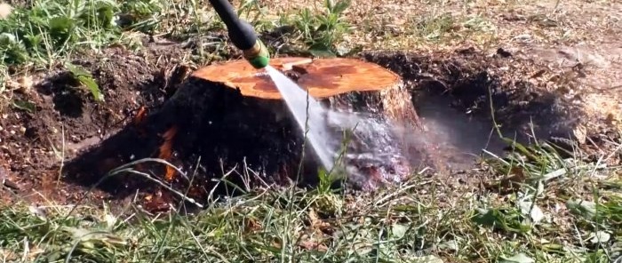 How to quickly remove a stump on a site without uprooting and saltpeter